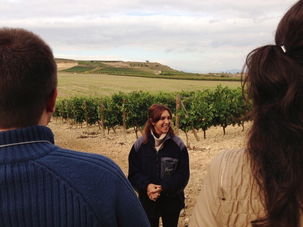 Encuentro_foreros_Rioja_2013_visita_Beronia_Alejandra_Revuelta_viñedo